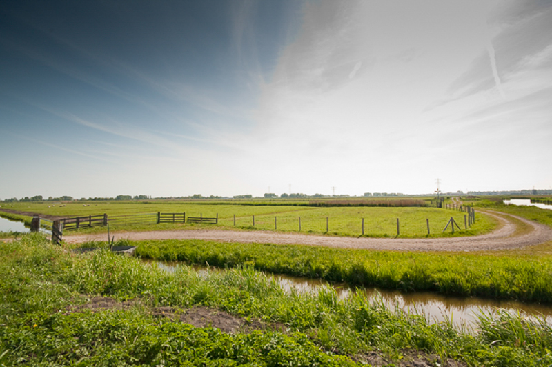 Krommenierwoudpolder